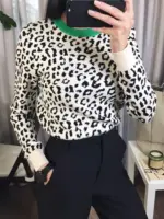 Warm Leopard Sweater For Women - Image 6