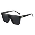 Luxury Sunglasses For Men - Image 6
