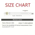 Faux Leather Belts For Women - Image 6