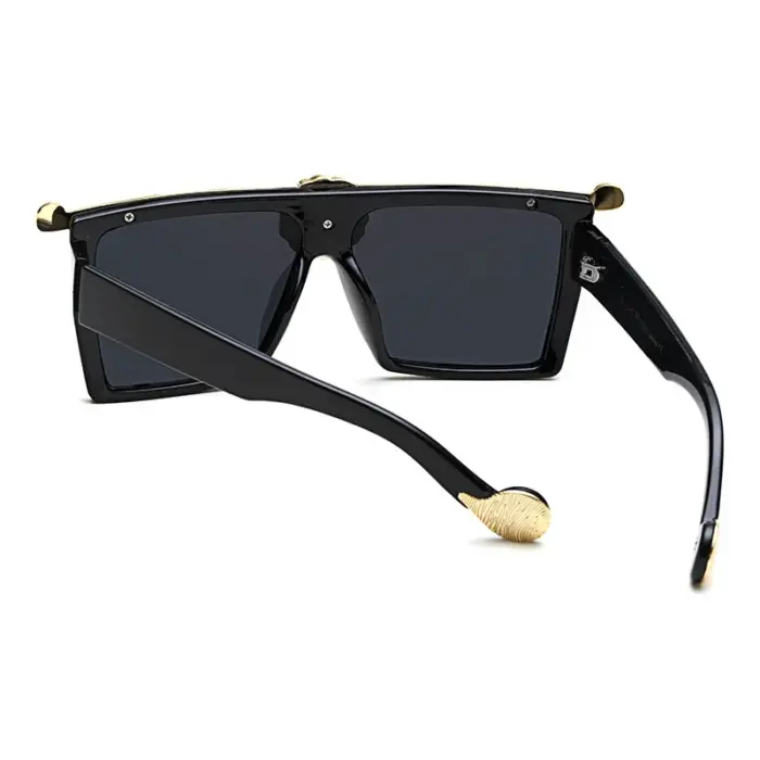 Retro Luxury Lioness Sunglasses For Women - Image 3