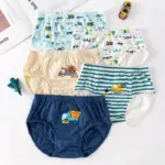 Comfortable Elastic Boxer Set For Boys - Image 4