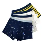 New Cotton Underwear Set For Boys - Image 3