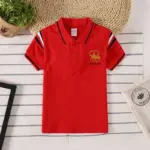 Casual Embroidered Polo Shirts For Boys - Image 3