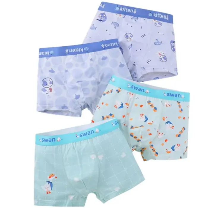 4PCS Cotton Underwear For Boys - Image 6