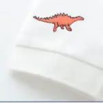 Dinosaur Polo Shirts For Boys - Image 6