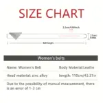 Luxury Metal Buckle Belts For Women - Image 5