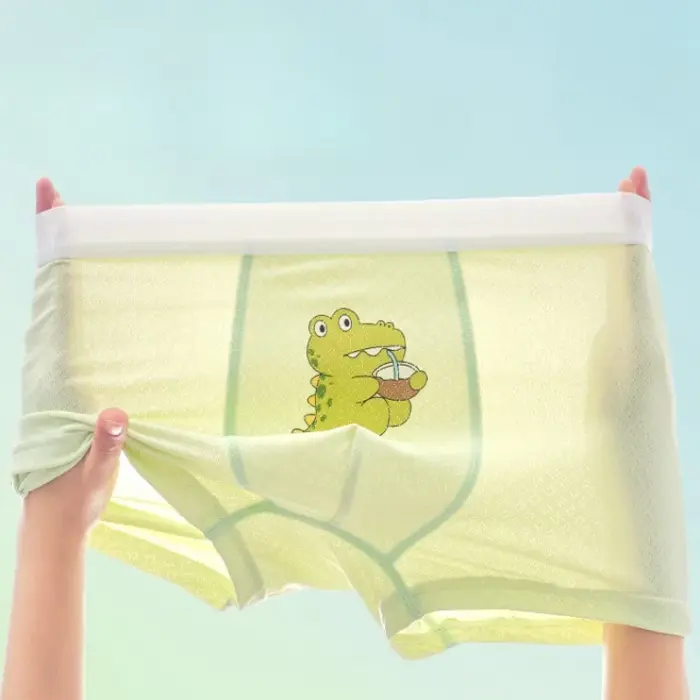 4PCS Breathable Underwear For Boys - Image 1