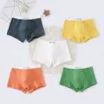 New Cotton Boxer Set For Boys - Image 4