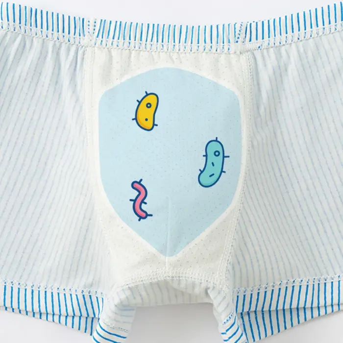 4 Pcs Cotton Underwear For Kids - Image 5