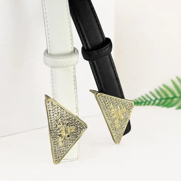 Luxury Metal Buckle Belts For Women - Image 4