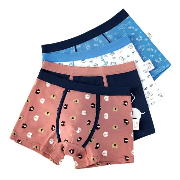 New Cotton Underwear Set For Boys - Image 2