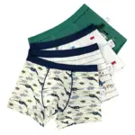 New Cotton Underwear Set For Boys - Image 6