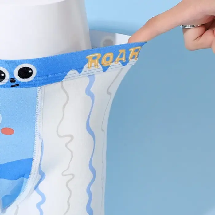 4PCS Cute Boxers For Boys - Image 2