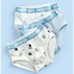 6PCS Breathable Knickers For Boys - Image 5