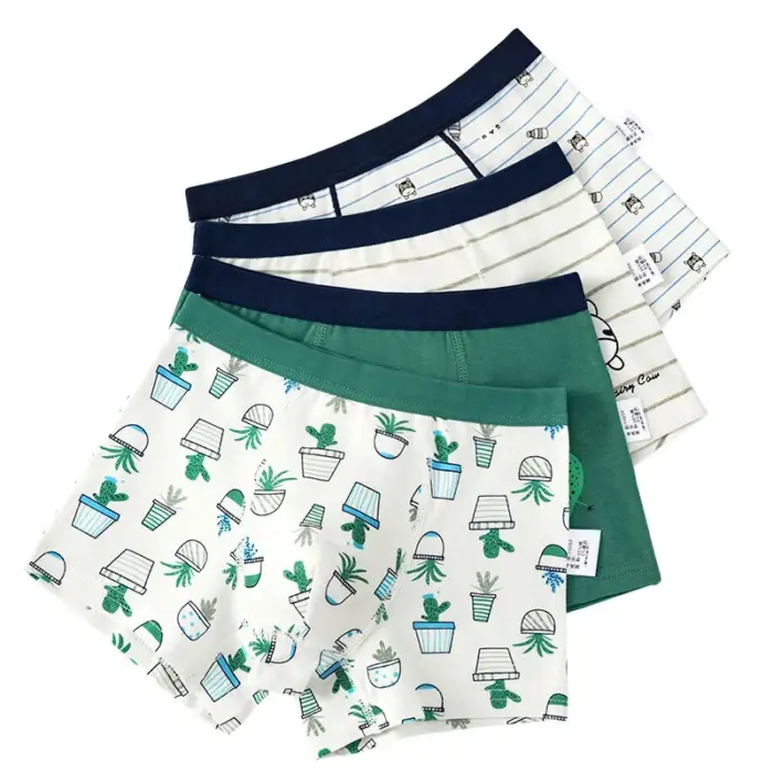New Cotton Underwear Set For Boys - Image 1