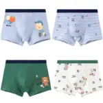 Cartoon Underwear Set For Boys
