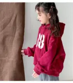Autumn/Winter Fleece Hoodies For Kids - Image 5